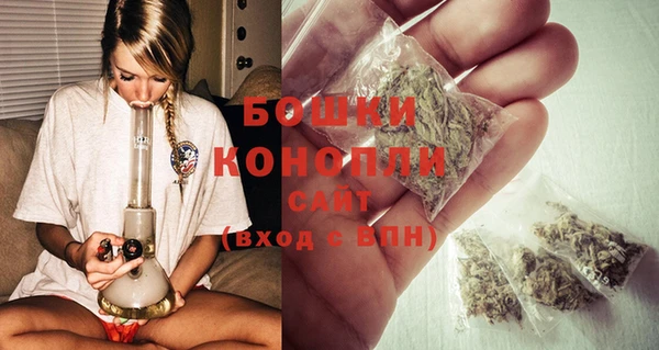спайс Покачи